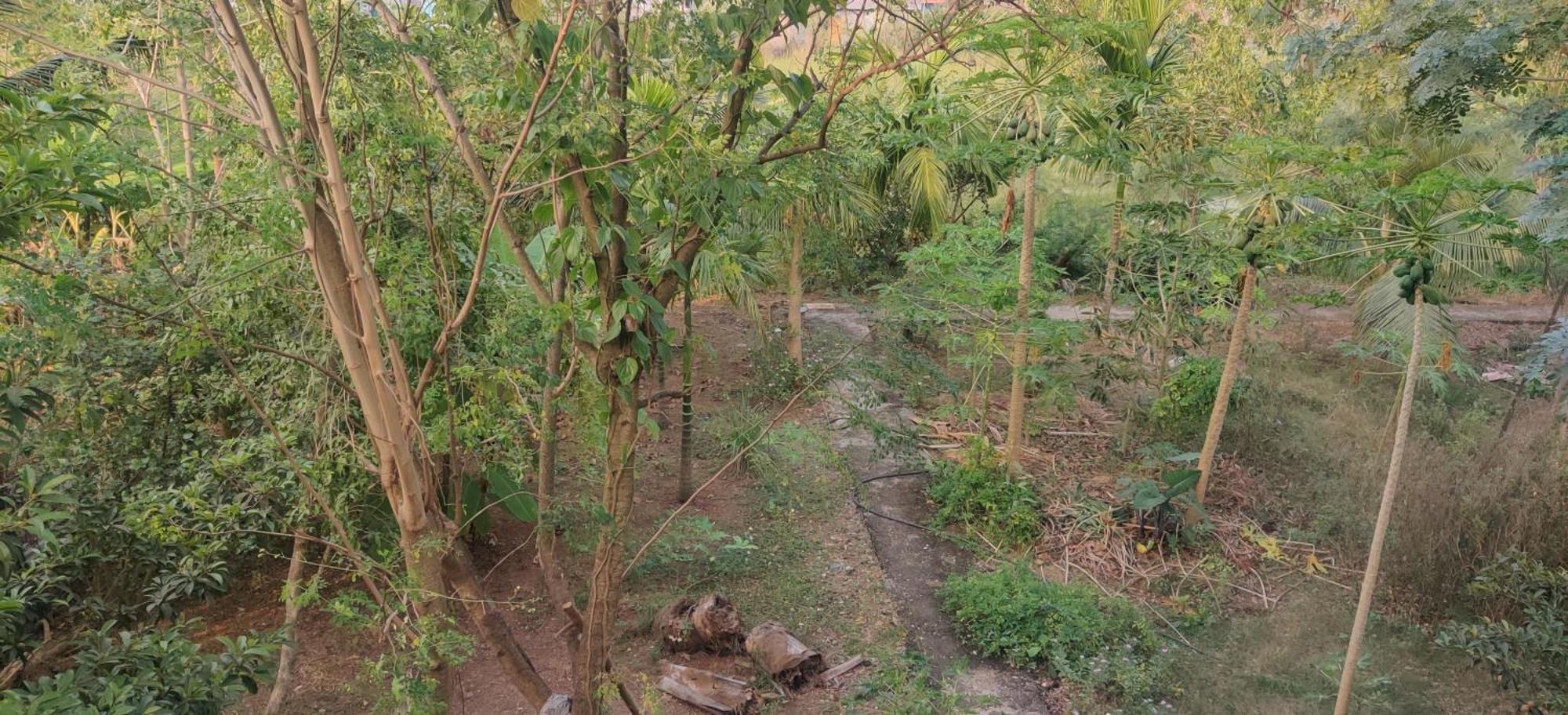 Gulmohar Cottages - Home Stay In Alībāg Buitenkant foto