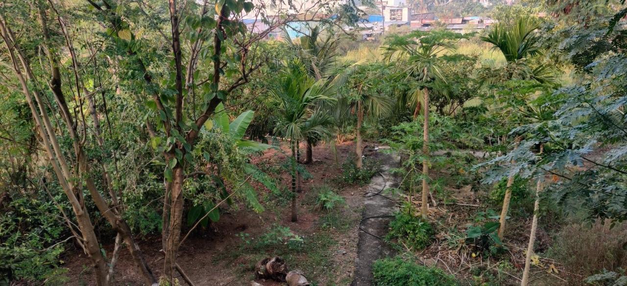 Gulmohar Cottages - Home Stay In Alībāg Buitenkant foto
